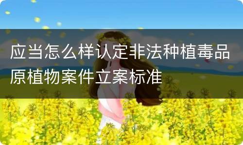 应当怎么样认定非法种植毒品原植物案件立案标准