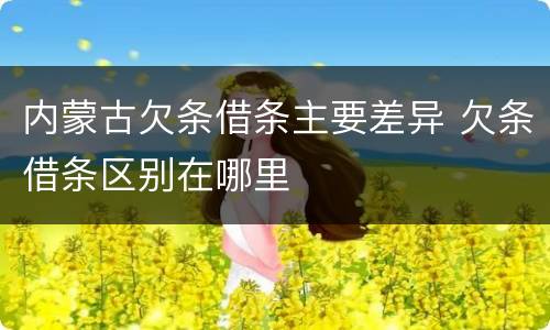 内蒙古欠条借条主要差异 欠条借条区别在哪里