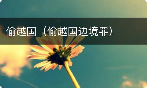 偷越国（偷越国边境罪）
