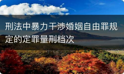 刑法中暴力干涉婚姻自由罪规定的定罪量刑档次