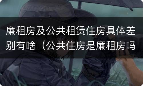 廉租房及公共租赁住房具体差别有啥（公共住房是廉租房吗）