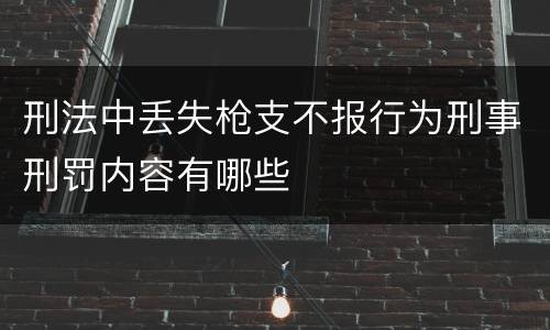 刑法中丢失枪支不报行为刑事刑罚内容有哪些