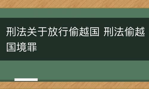 刑法关于放行偷越国 刑法偷越国境罪