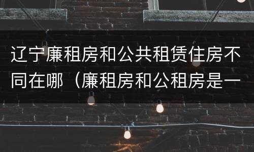 辽宁廉租房和公共租赁住房不同在哪（廉租房和公租房是一样的吗）