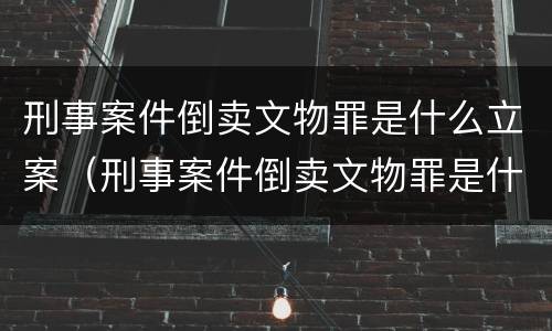 刑事案件倒卖文物罪是什么立案（刑事案件倒卖文物罪是什么立案的）