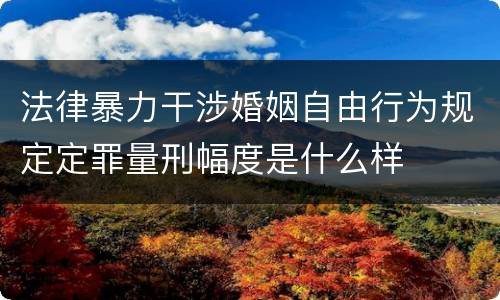 法律暴力干涉婚姻自由行为规定定罪量刑幅度是什么样
