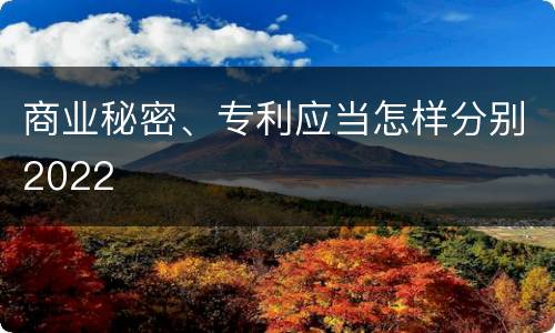 商业秘密、专利应当怎样分别2022