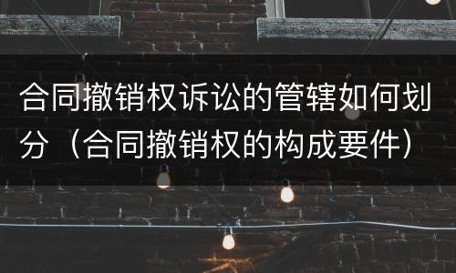 合同撤销权诉讼的管辖如何划分（合同撤销权的构成要件）