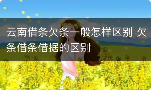 云南借条欠条一般怎样区别 欠条借条借据的区别