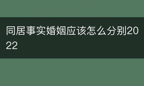 同居事实婚姻应该怎么分别2022