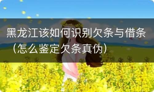 黑龙江该如何识别欠条与借条（怎么鉴定欠条真伪）