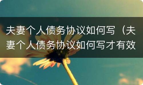 夫妻个人债务协议如何写（夫妻个人债务协议如何写才有效）