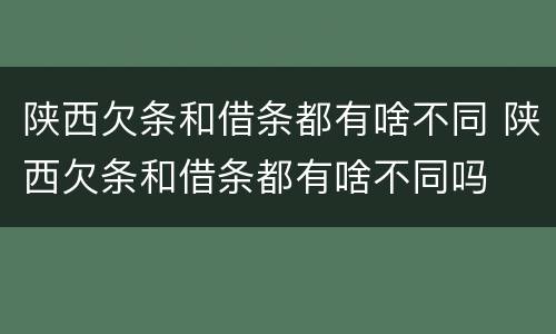 陕西欠条和借条都有啥不同 陕西欠条和借条都有啥不同吗