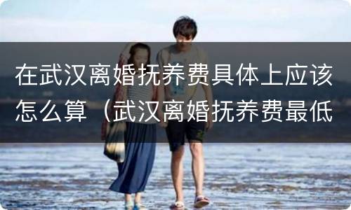 在武汉离婚抚养费具体上应该怎么算（武汉离婚抚养费最低标准）
