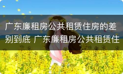 广东廉租房公共租赁住房的差别到底 广东廉租房公共租赁住房的差别到底有多大