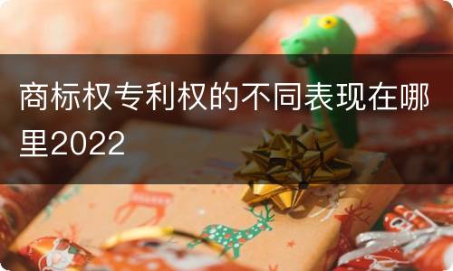 商标权专利权的不同表现在哪里2022