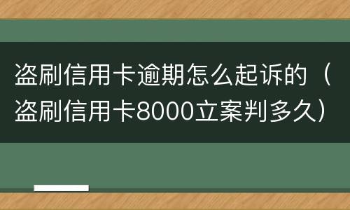 盗刷信用卡逾期怎么起诉的（盗刷信用卡8000立案判多久）