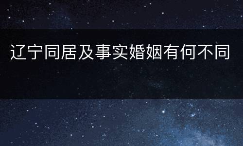 辽宁同居及事实婚姻有何不同