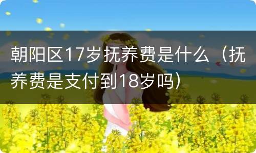 朝阳区17岁抚养费是什么（抚养费是支付到18岁吗）