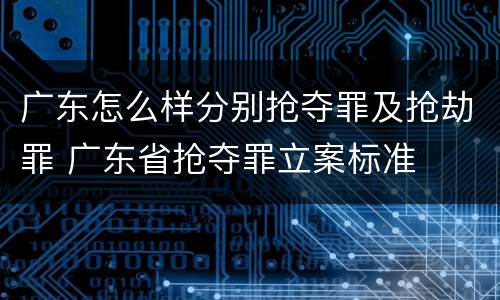 广东怎么样分别抢夺罪及抢劫罪 广东省抢夺罪立案标准