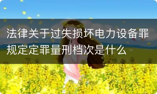 法律关于过失损坏电力设备罪规定定罪量刑档次是什么