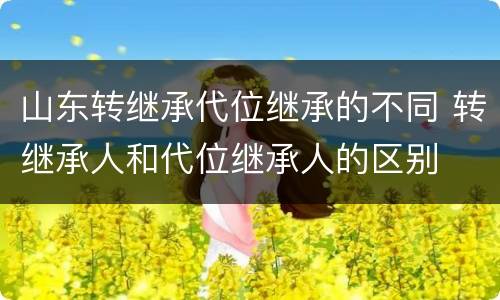 山东转继承代位继承的不同 转继承人和代位继承人的区别