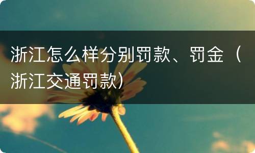 浙江怎么样分别罚款、罚金（浙江交通罚款）