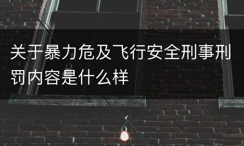 关于暴力危及飞行安全刑事刑罚内容是什么样