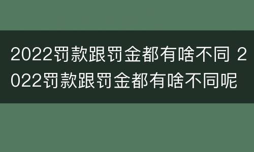 2022罚款跟罚金都有啥不同 2022罚款跟罚金都有啥不同呢