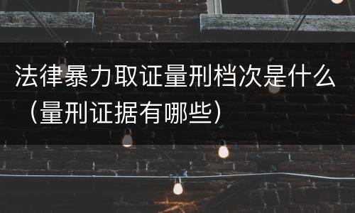 法律暴力取证量刑档次是什么（量刑证据有哪些）