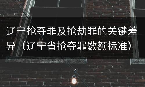 辽宁抢夺罪及抢劫罪的关键差异（辽宁省抢夺罪数额标准）