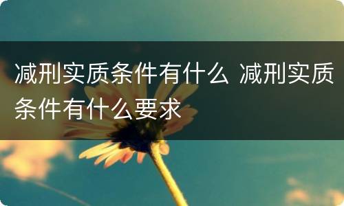 减刑实质条件有什么 减刑实质条件有什么要求