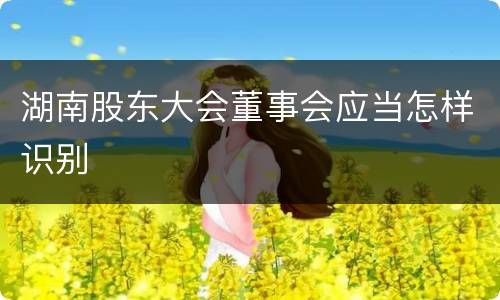 湖南股东大会董事会应当怎样识别