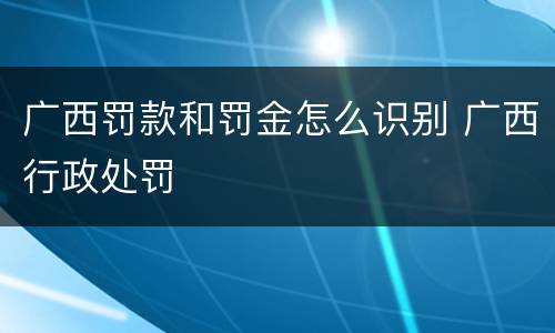 广西罚款和罚金怎么识别 广西行政处罚
