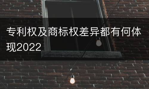 专利权及商标权差异都有何体现2022