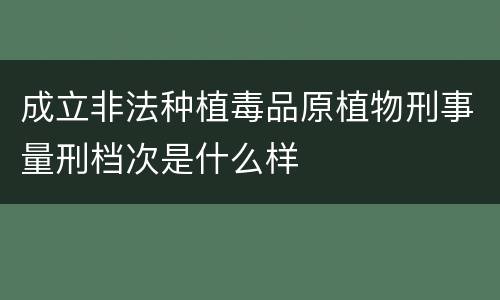 成立非法种植毒品原植物刑事量刑档次是什么样