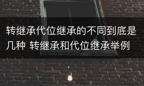 转继承代位继承的不同到底是几种 转继承和代位继承举例
