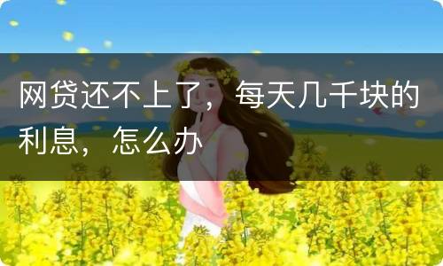 网贷还不上了，每天几千块的利息，怎么办