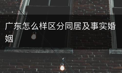 广东怎么样区分同居及事实婚姻