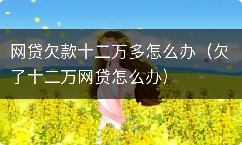 网贷欠款十二万多怎么办（欠了十二万网贷怎么办）