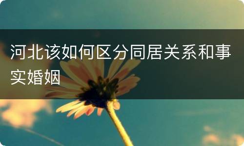 河北该如何区分同居关系和事实婚姻