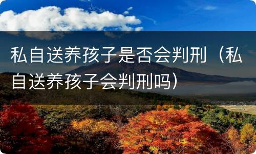 私自送养孩子是否会判刑（私自送养孩子会判刑吗）