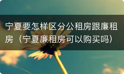 宁夏要怎样区分公租房跟廉租房（宁夏廉租房可以购买吗）