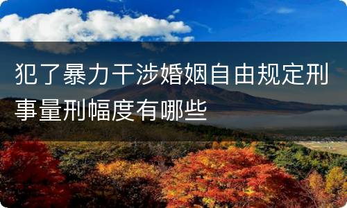 犯了暴力干涉婚姻自由规定刑事量刑幅度有哪些