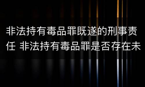 非法持有毒品罪既遂的刑事责任 非法持有毒品罪是否存在未遂
