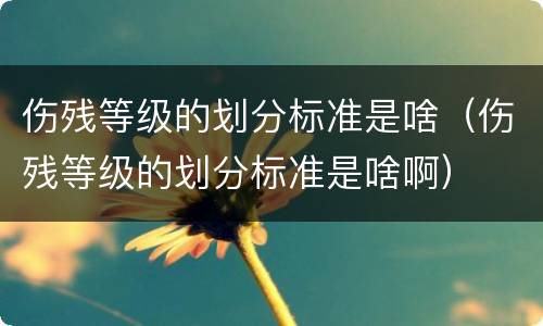 伤残等级的划分标准是啥（伤残等级的划分标准是啥啊）