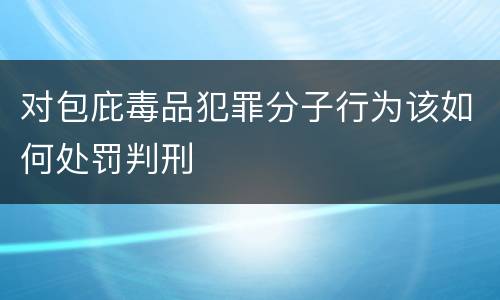 对包庇毒品犯罪分子行为该如何处罚判刑
