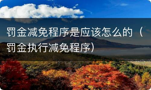 罚金减免程序是应该怎么的（罚金执行减免程序）