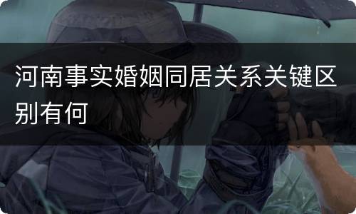 河南事实婚姻同居关系关键区别有何