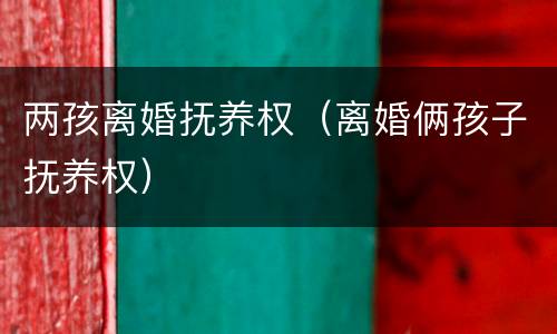 两孩离婚抚养权（离婚俩孩子抚养权）